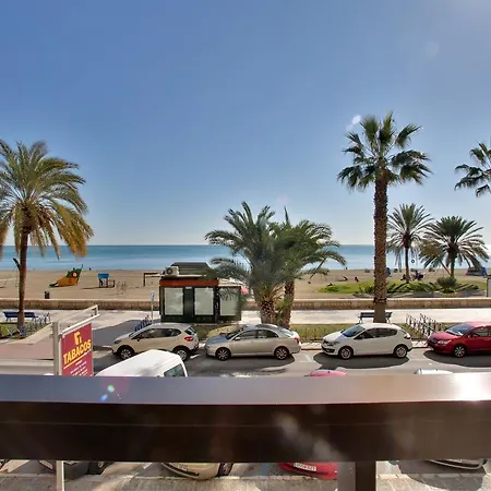 Appartement New Luxury Premium